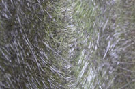 Mereworth fibreglass roof work